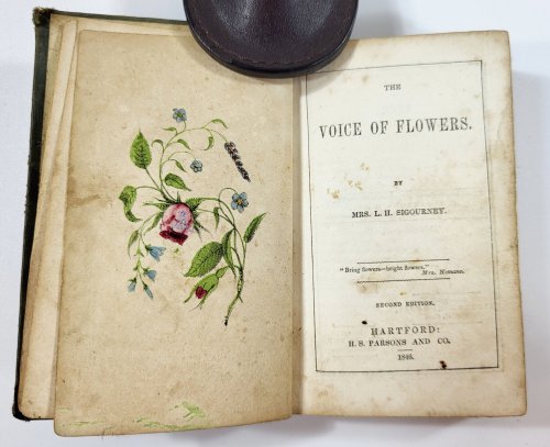 The Voice of Flowers