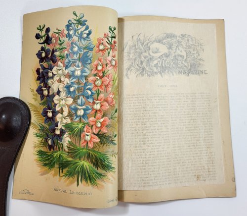 Vick's Illustrated Monthly Magazine. July 1883. Vol. 6, No. 7