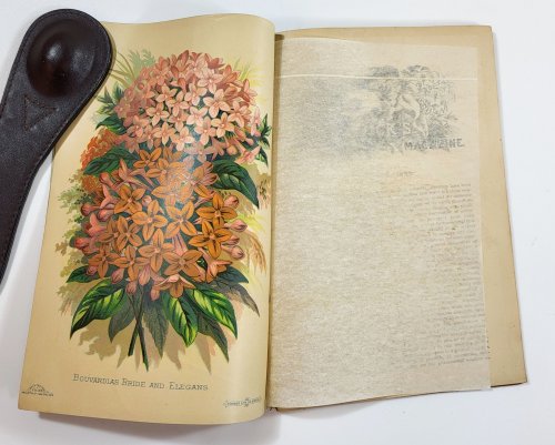 Vick's Illustrated Monthly Magazine. October 1883. Vol. 6, No. 10