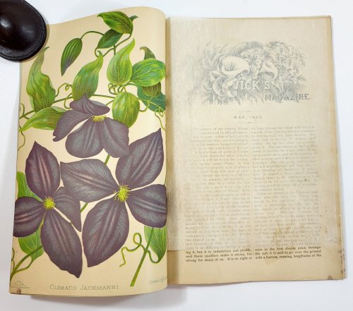 Vick's Illustrated Monthly Magazine. May 1883. Vol. 6, No. 5