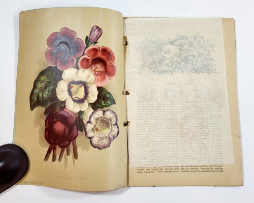 Vick's Illustrated Monthly Magazine. January 1883. Vol. 6, No. 1