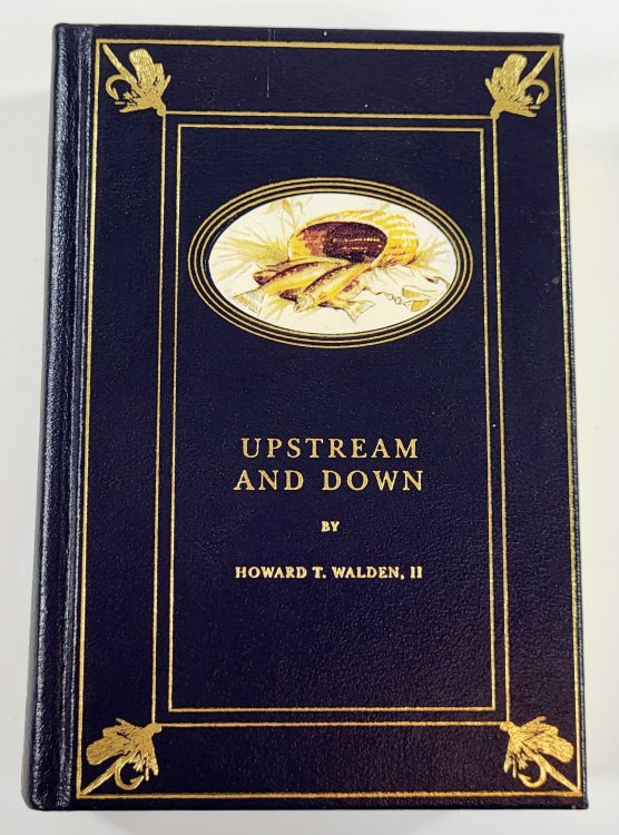 Upstream & Down