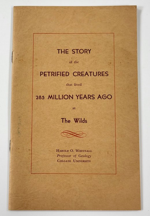 Deep Sea Fishing with a Hammer and Chisel for Petrified Creatures. Cover Title: The Story of the Petrified Creatures That Lived 285 Million Years Ago at The Wilds