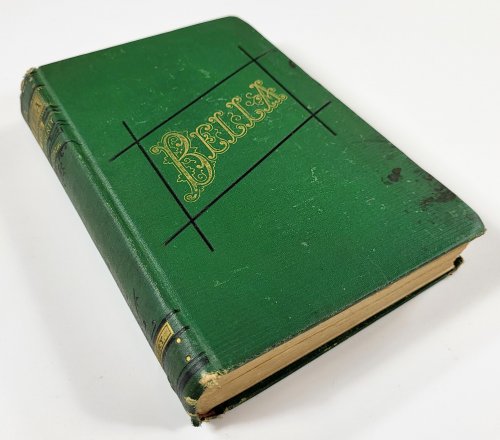 Bella; or, The Cradle of Liberty. A Story of Insane Asylums
