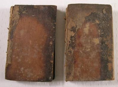 Image for The Visitor. In Two Volumes. With Bookplate of Jeremiah Wadsworth (1743-1804) in Each Volume The Visitor. In Two Volumes. With Bookplate of Jeremiah Wadsworth (1743-1804) in Each Volume