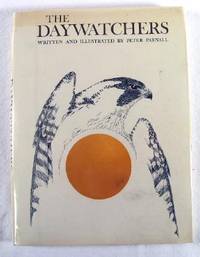 The Daywatchers