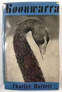 Koonwarra [Black Swan], A Naturalist's Adventure in Australia