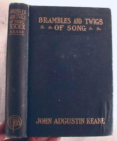 Brambles and Twigs of Song