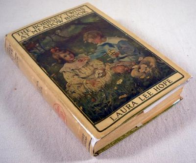 The Bobbsey Twins at Meadow Brook