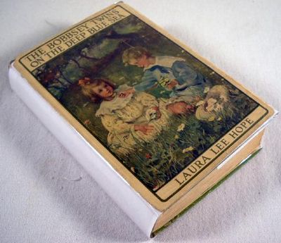 The Bobbsey Twins on the Deep Blue Sea