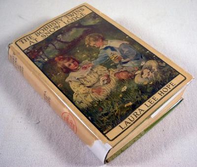 The Bobbsey Twins at Snow Lodge