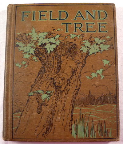 Field and Tree