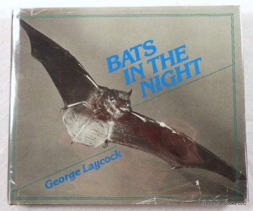 Bats in the Night