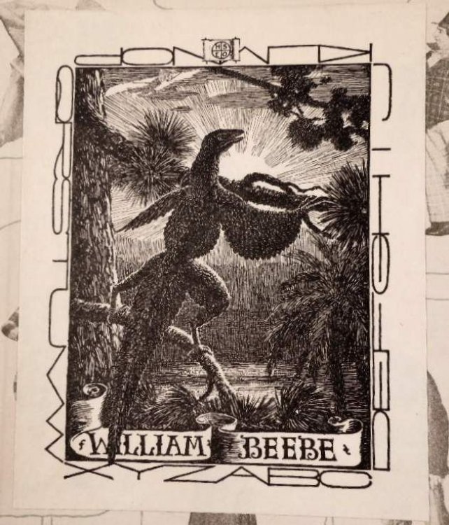 Weber and Fields: Their Tribulations, Triumphs and Their Associates. With Bookplate of William Beebe