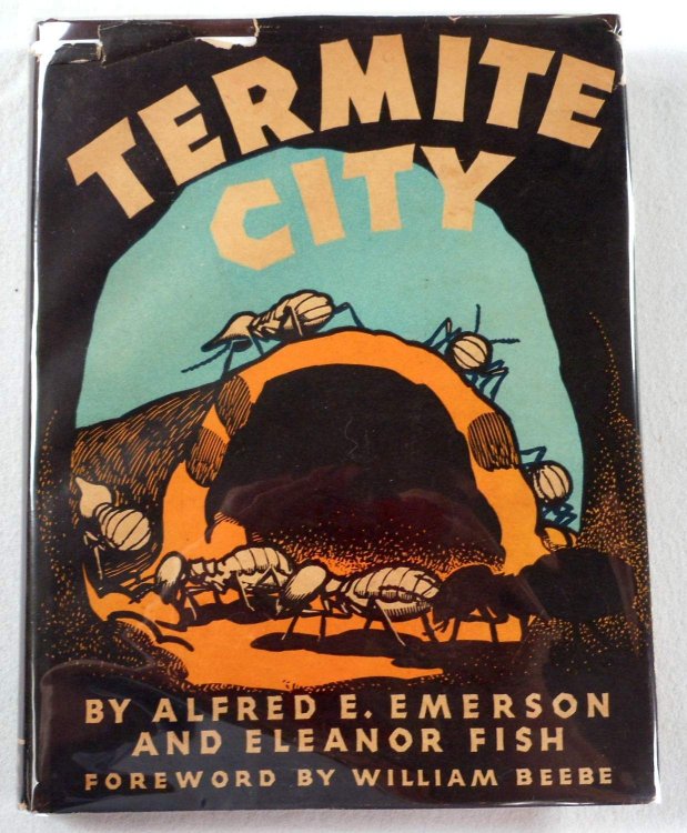 Termite City