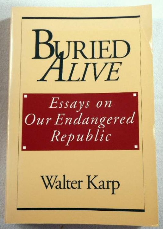 Buried Alive: Essays on Our Endangered Republic