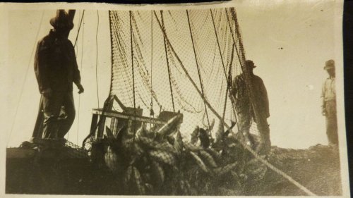1920's Photo Album Bonilla Island British Colombia