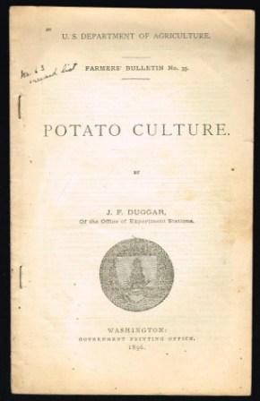 Potato Culture