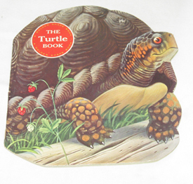 The Turtle Book