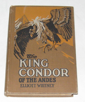 The King Condor Of The Andes
