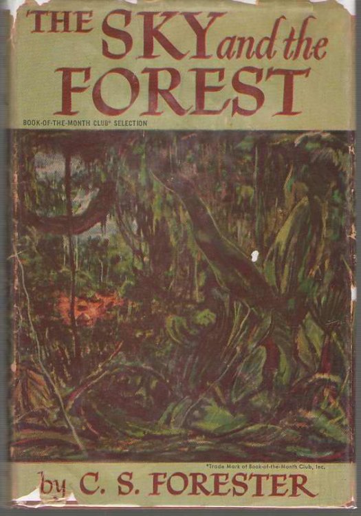 The Sky And The Forest
