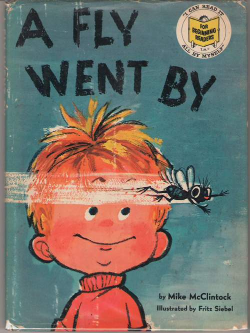 A Fly Went By