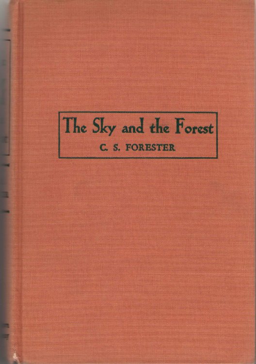 The Sky And The Forest