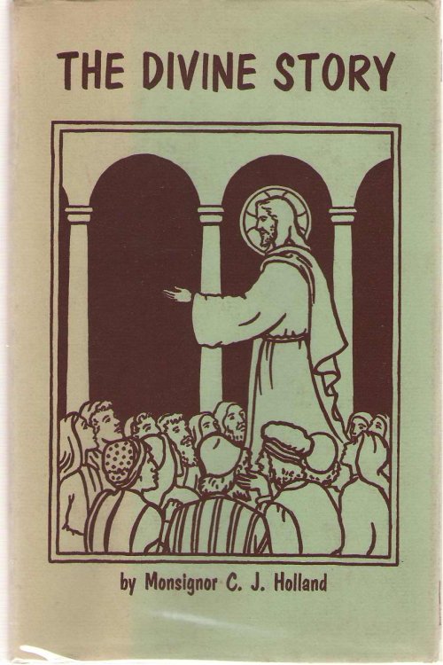 The Divine Story A Short Life of Our Blessed Lord for Youth