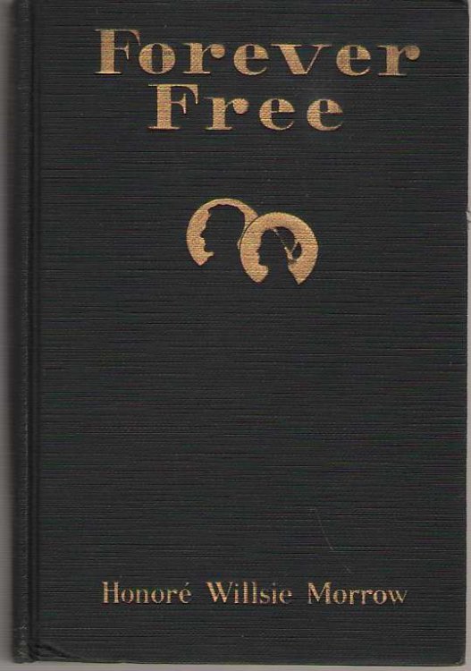 Forever Free A Novel of Abraham Lincoln