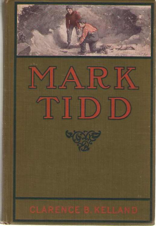 Mark Tidd His Adventures and Strategies