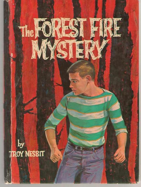 The Forest Fire Mystery