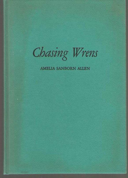 Chasing Wrens