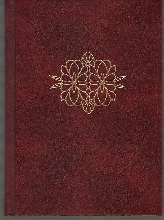The Planter's Chinese - English New Testament