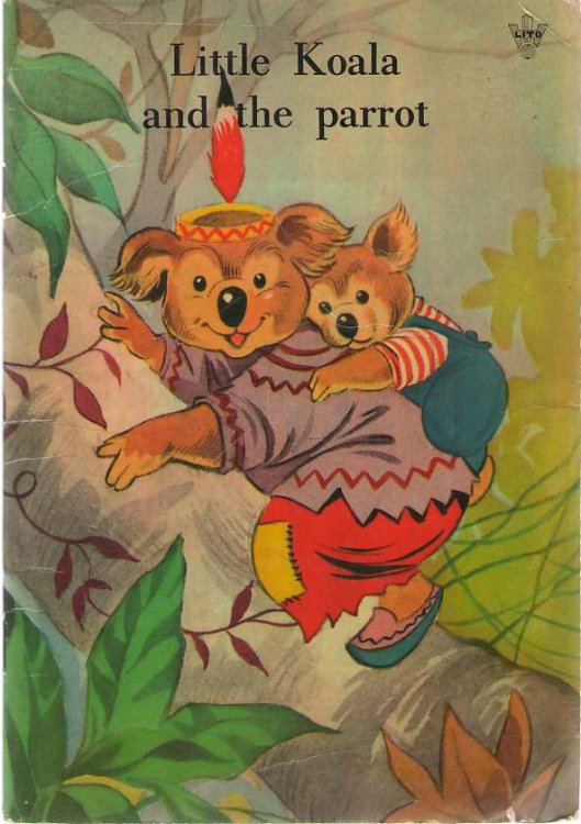 Little Koala And The Parrot