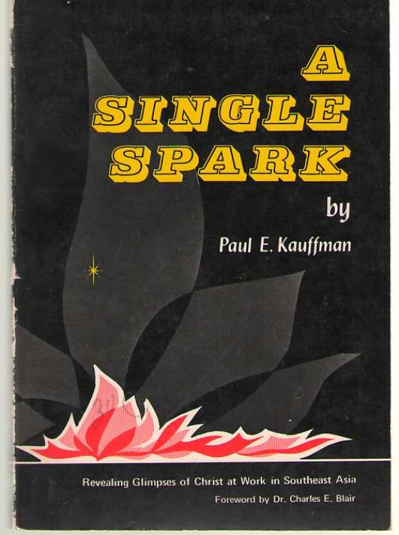 A Single Spark Revealing Glimpses of Christ At Work in Southeast Asia