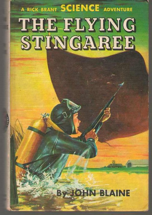 The Flying Stingaree