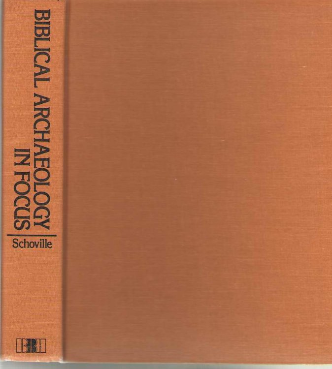 Biblical Archaeology in Focus