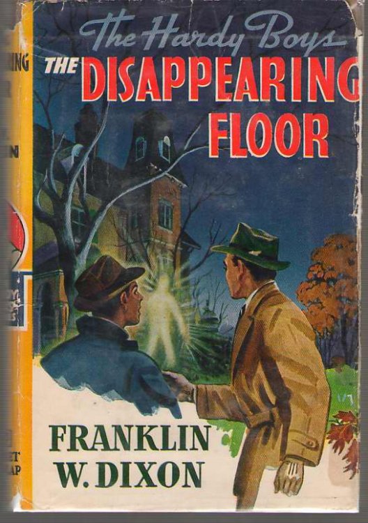 The Disappearing Floor