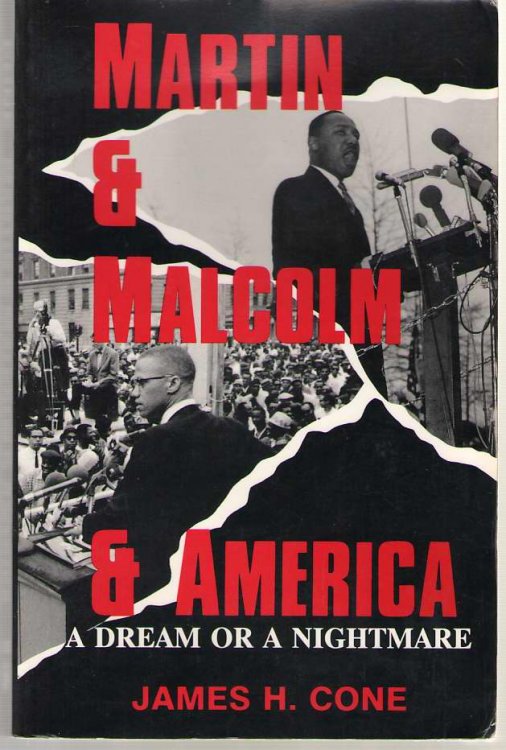 Martin & Malcolm & America A Dream or a Nightmare