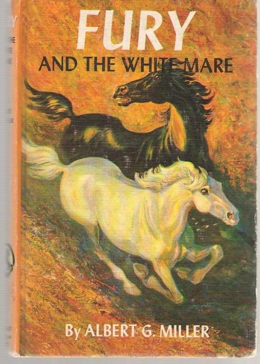 Fury And The White Mare