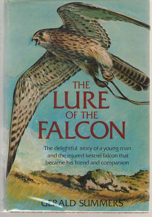 The Lure of the Falcon