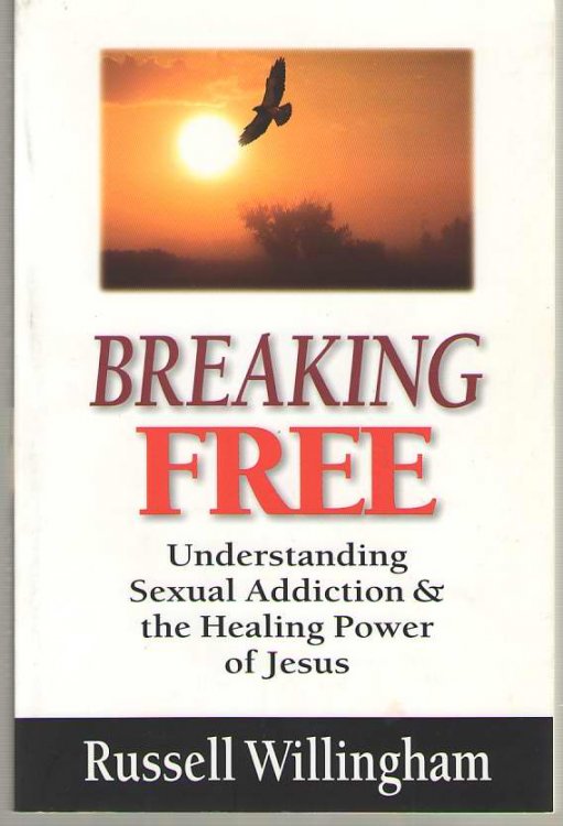 Breaking Free Understanding Sexual Addiction and the Healing Power of Jesus