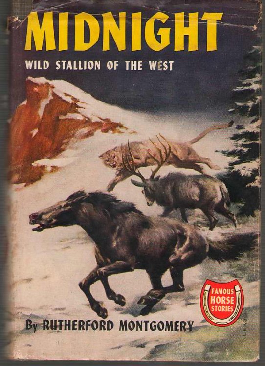 Midnight Wild Stallion of the West