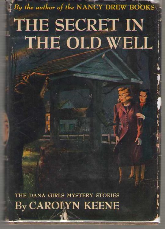 The Secret In The Old Well