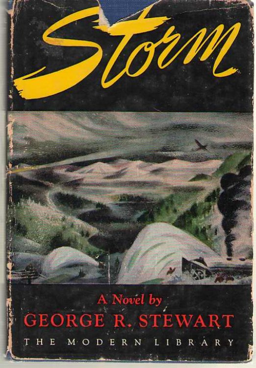 Storm