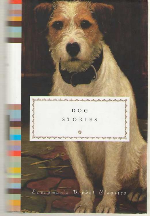Dog Stories