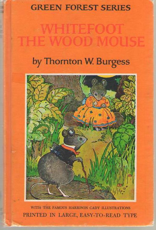 Whitefoot The Wood Mouse