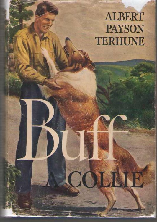 Buff A Collie and Other Dog Stories