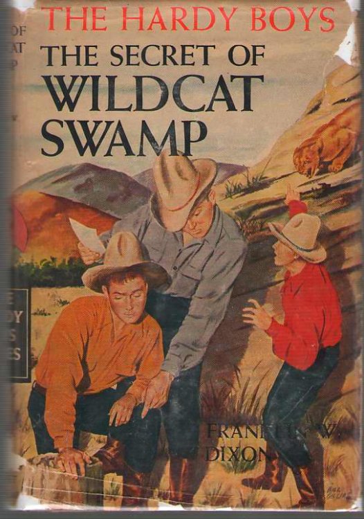 The Secret Of Wildcat Swamp
