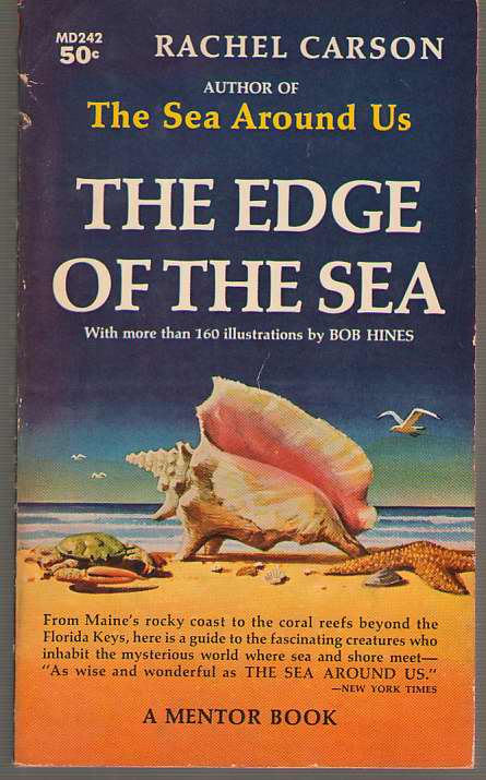 The Edge of the Sea